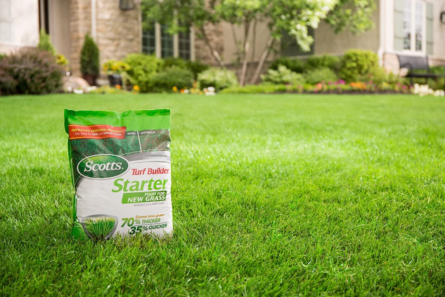 Best Fertilizer for Grass in Summer - Gardener Corner
