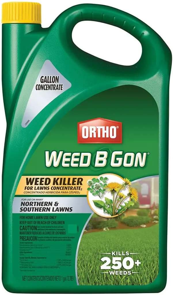 Ortho Weed Killer Reviews - Mary Blog